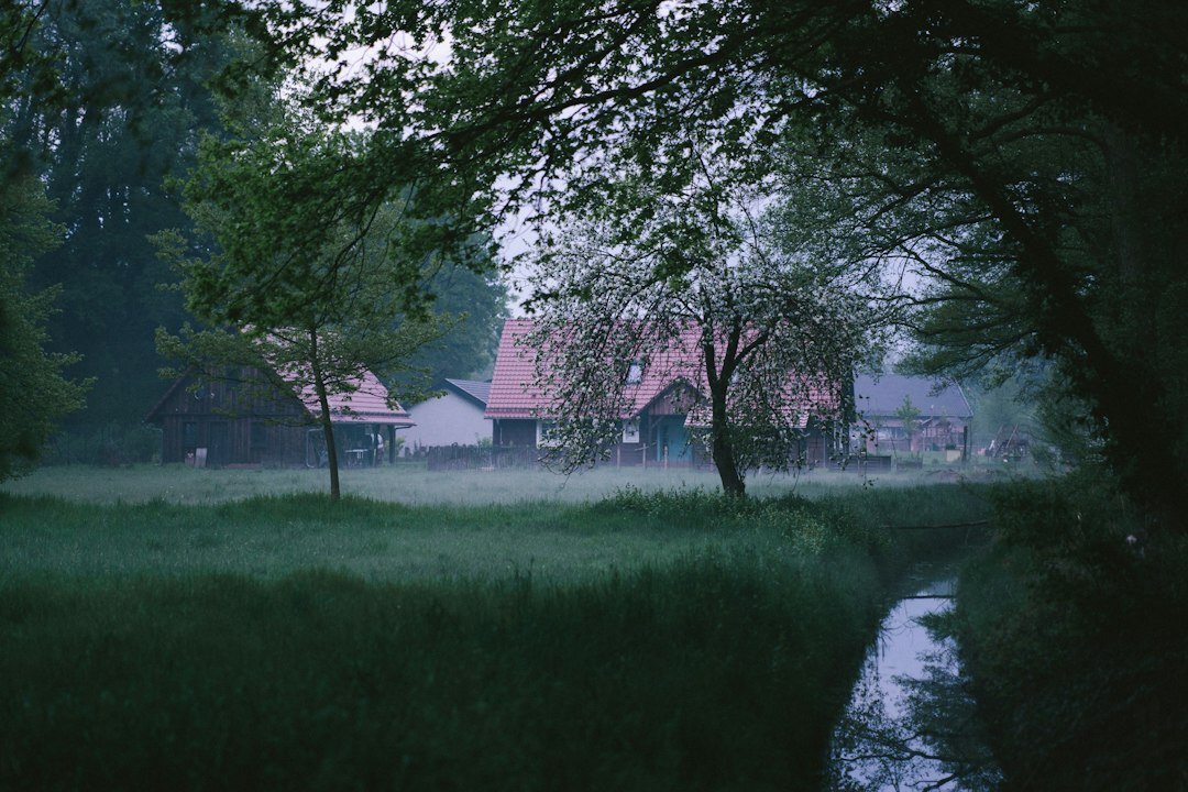 village mystery scene